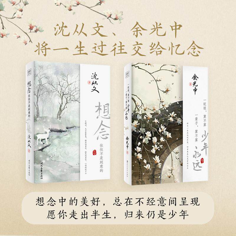【新华正版】 名家巨匠一眨眼算不算少年 一辈子算不算永远+想念往往不是刻意的套装2册） 百花洲文艺出版社 沈从文紫图图书 出品