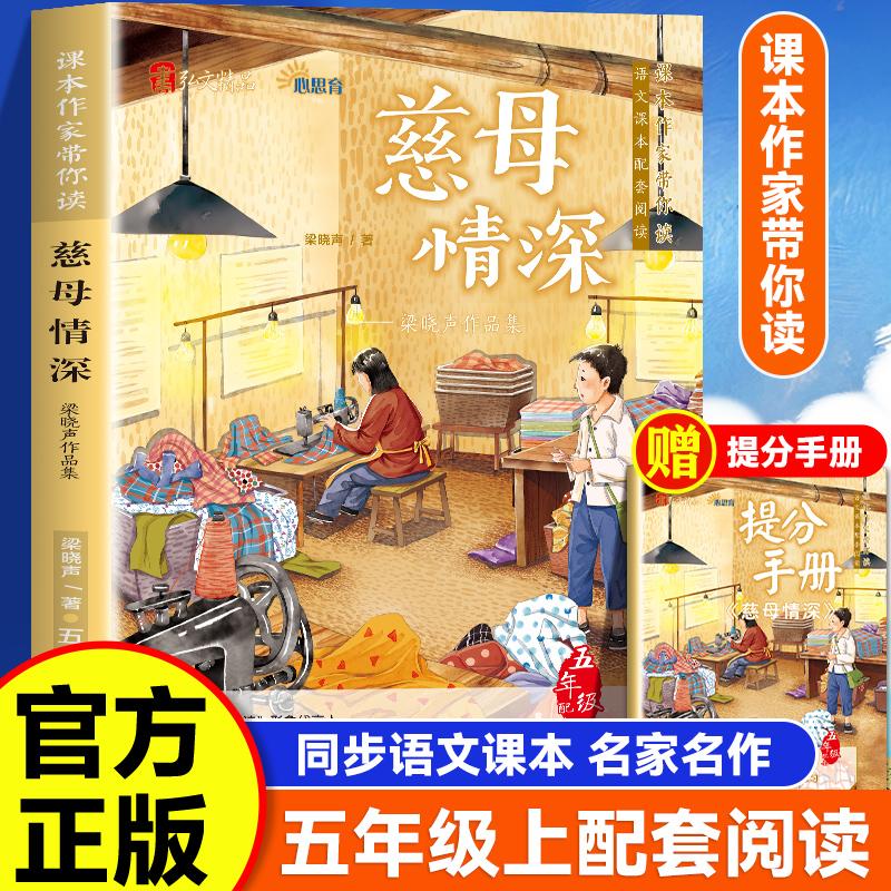 【新华正版】 课本作家带你读慈母情深五年级上册 民主与建设出版社