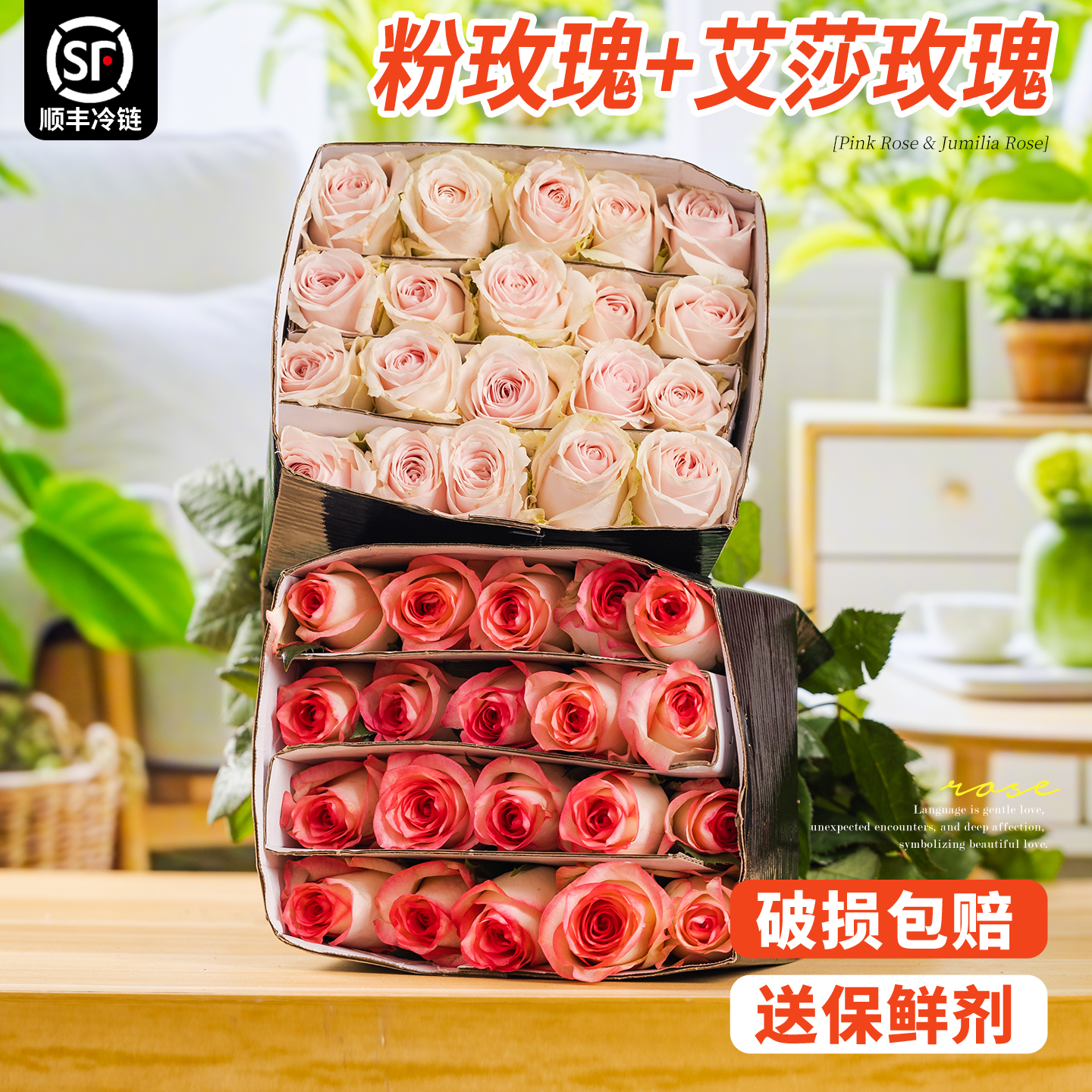 淘花郎鲜花粉红艾莎玫瑰花特价