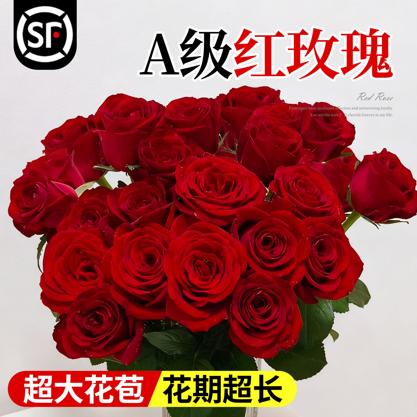 淘花郎鲜花红玫瑰99朵花束特价