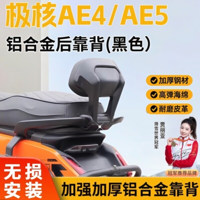 极核电动车后靠背AE4/AE4se/AE4max/AE5iPro靠垫腰靠配件改装件