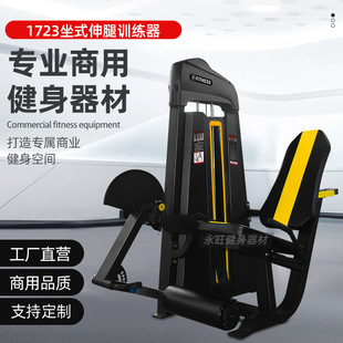 商用坐式姿伸腿训练器械腿部力量股四头肌训练器材健身房专用宁津