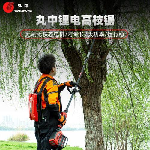 PSE800S丸中（WANZHONG）锂电高枝锯充电电动高空修枝锯市政专用