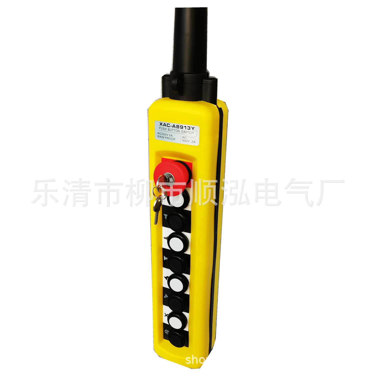 TNHA(XAC)-A8913Y X8913电葫芦起重行车按钮控制手柄开关带锁钥匙