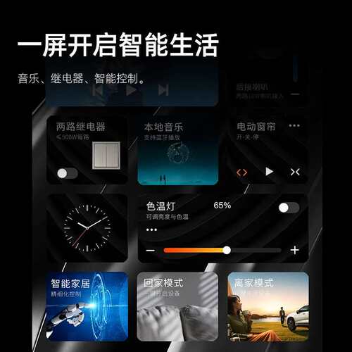 华尔思M9智能家庭屏10英寸音乐音箱AI语音智能中控屏 带2路继电器