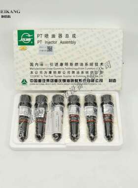 PT喷油器  3054231  NTA855发电机组   厂家