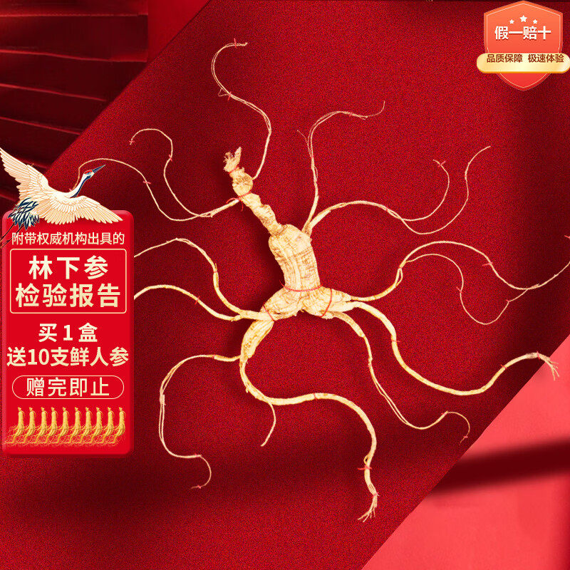 长白山人参约23年3指芦林下参15-20g野山参礼盒送礼源头发B4包邮