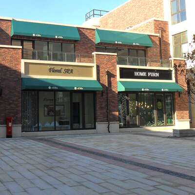 馨宁居户外雨棚别墅小区门店窗户咖啡店装饰篷雨篷伸缩折叠遮阳篷