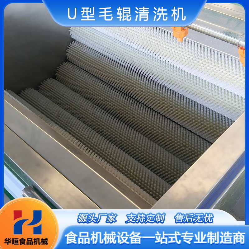 全自动U型毛辊清洗机商用清洗设备海鲜生蚝扇贝蛤蜊海虹清洗泥沙