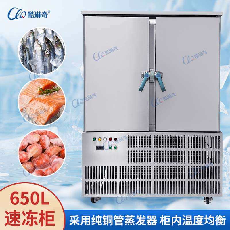 柬埔寨650L大容量速冻柜-40/80度可选低温食品冷冻柜不锈钢冷藏柜