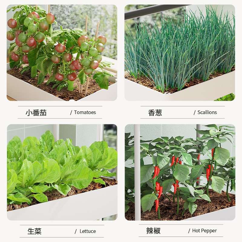 阳台多层种菜神器立体组合专用箱组合种植顶楼菜架草莓盆室内花架图片