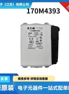 170M7223 170M7224 170M7225 170M7226原厂 电源快速熔断器保险丝