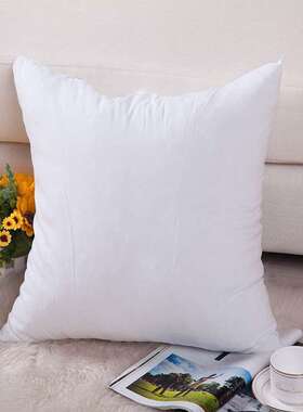 羽毛枕芯汽车靠枕家居家摆设靠垫76x76cm酒店枕芯办公司沙发用枕