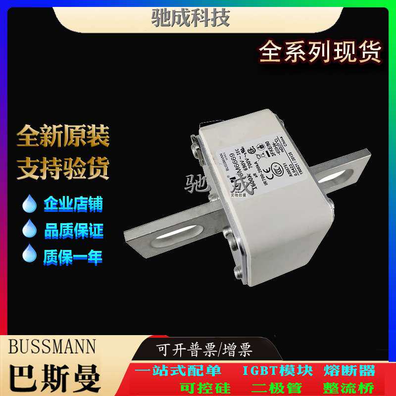 巴斯曼170M6666 170M6667 170M6668 厂家原装优价供应 快熔保险丝