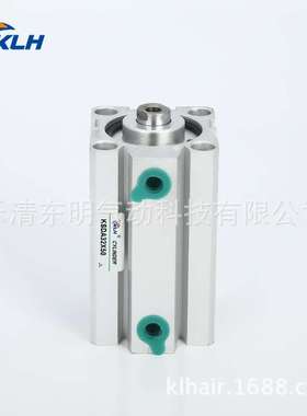 SDA100X5/SDA100X5-B/SDAS100X5/SDAS100X5-B带磁外牙薄型气缸