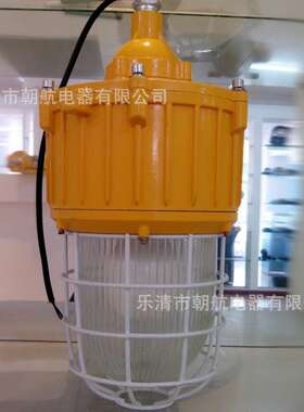 BPC8730B内场防爆灯_节能防爆平台灯 防眩泛光灯平台灯