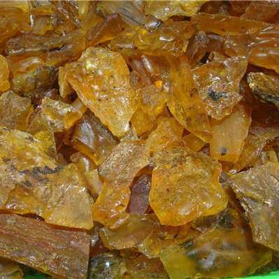 天然柯巴树脂原石 琥珀带昆虫