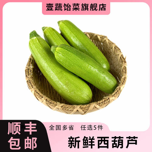 新鲜西葫芦 番瓜当季蔬菜脆嫩小茭瓜倭瓜 全国多省5件顺丰包邮