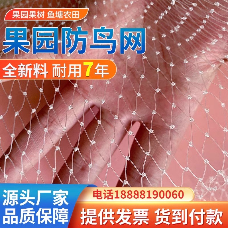 防鸟网果树果园大棚尼龙线防乌网阳台樱桃树葡萄窗户鱼塘用的天网