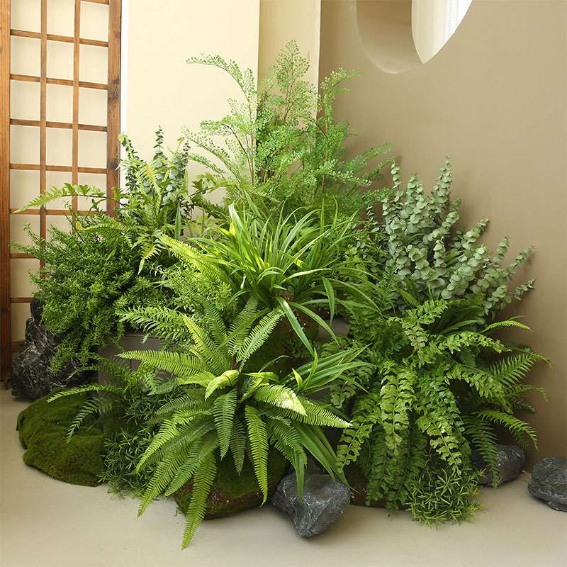 仿真植物小型景观蕨类把束植物手感假花室内景观角落橱窗造景装饰