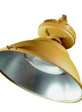 GC106防水防尘无极灯具 GC108免维护节能无极灯 GC108-W40