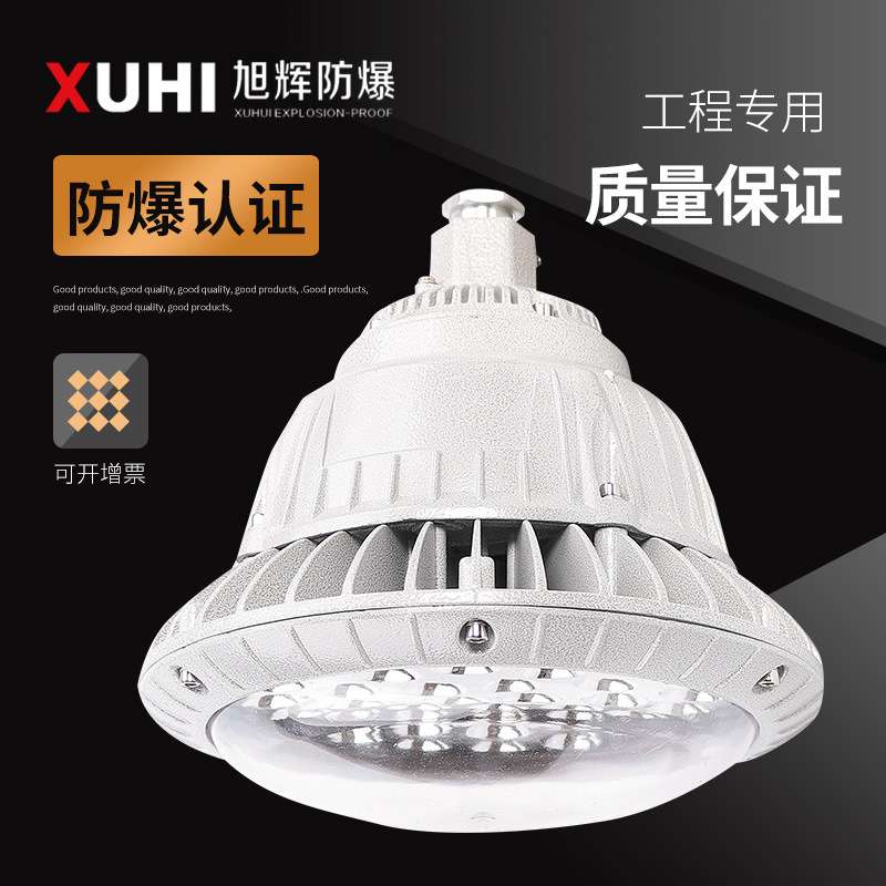 XHD530 免维护LED防爆灯70W80W90W100W 防爆照明灯 防爆led灯直供