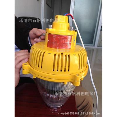 BPC8760防爆灯具LED防爆平台灯.