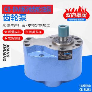 63齿轮油泵稀油站液压泵 川润齿轮泵CB2 CB2 润滑泵