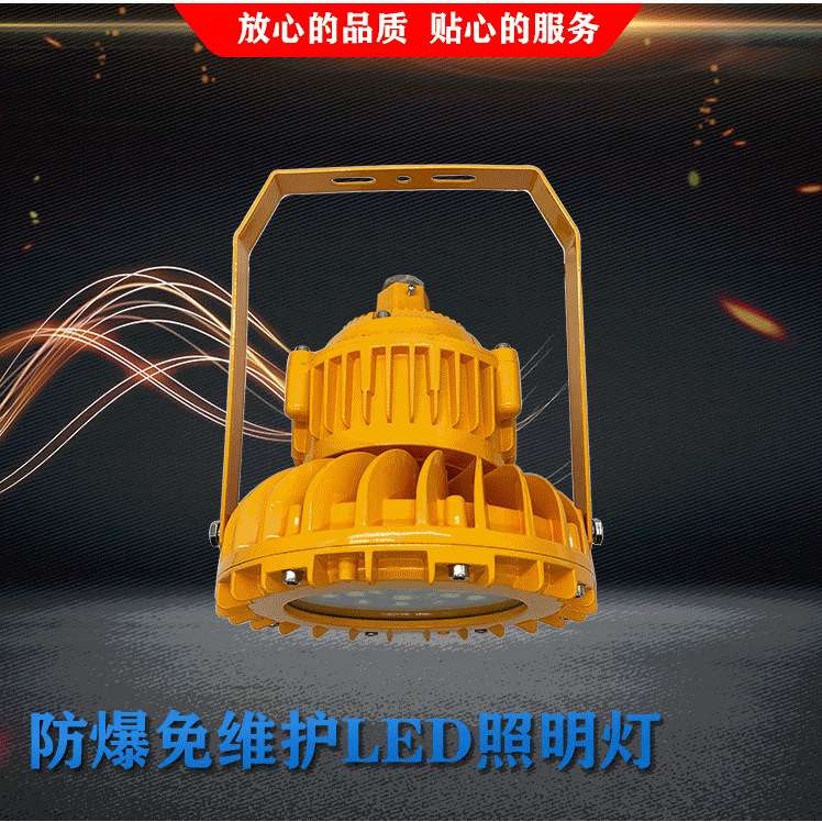 防爆免维护LED照明灯20W30W40W50W60W80W100W120W150WLED防爆灯