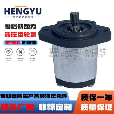 力士乐油泵REXROTH齿轮泵0510725102液压泵0510325006 AZPF AZPB