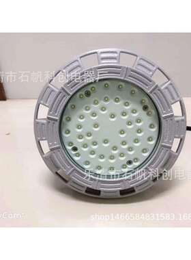 圆形LED防爆灯30-200W IIC