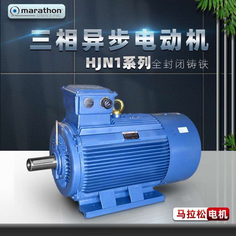 马拉松电机marathon电动机HJN1系列三相低压马达铸铁18.5KW现货