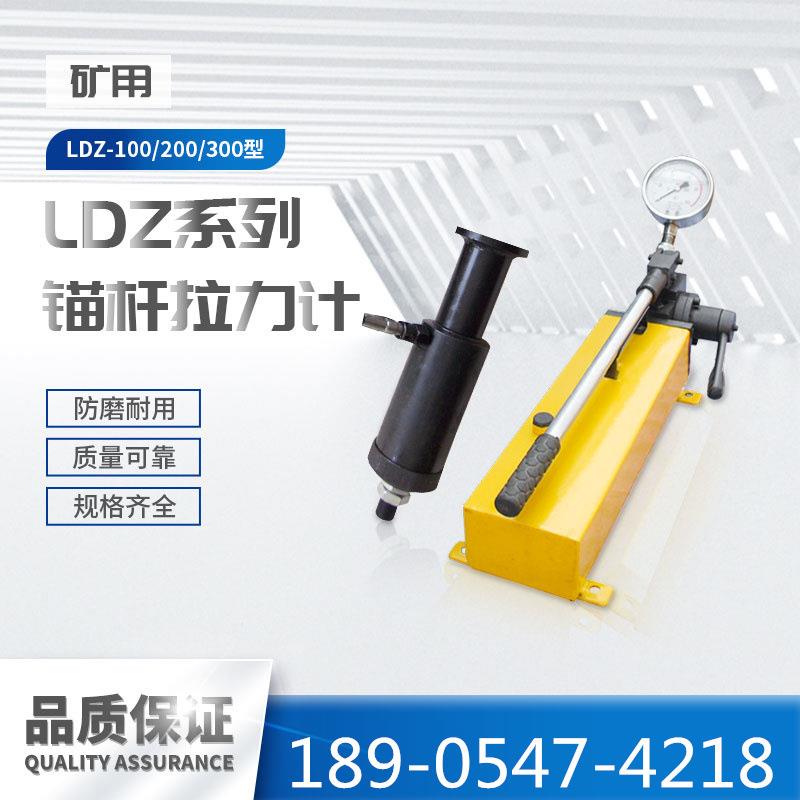 锚杆拉拔仪 钢筋拉拔仪10T锚杆拉力计 20T30T锚杆钢筋拉力计