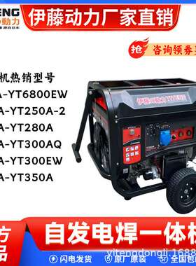 YT300AQ YT250A YT280A YT350A移动便携式柴油汽油自发电电焊两用