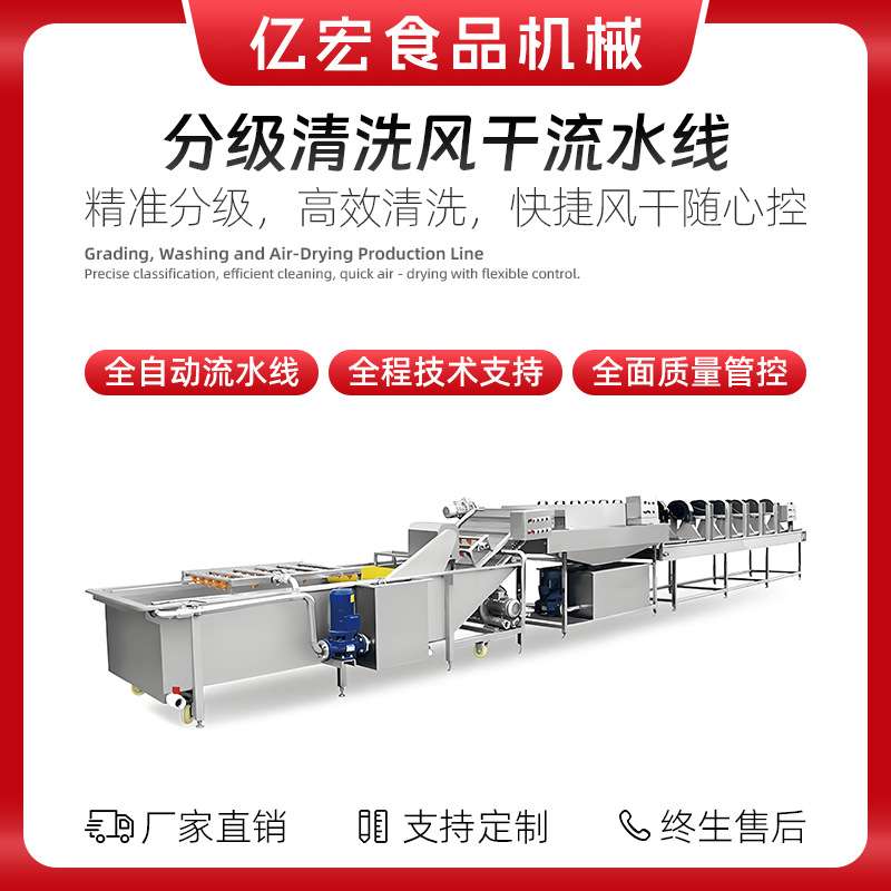 大型大枣椰枣橄榄分级清洗风干流水线 椰枣分级网带式 多层烘干机