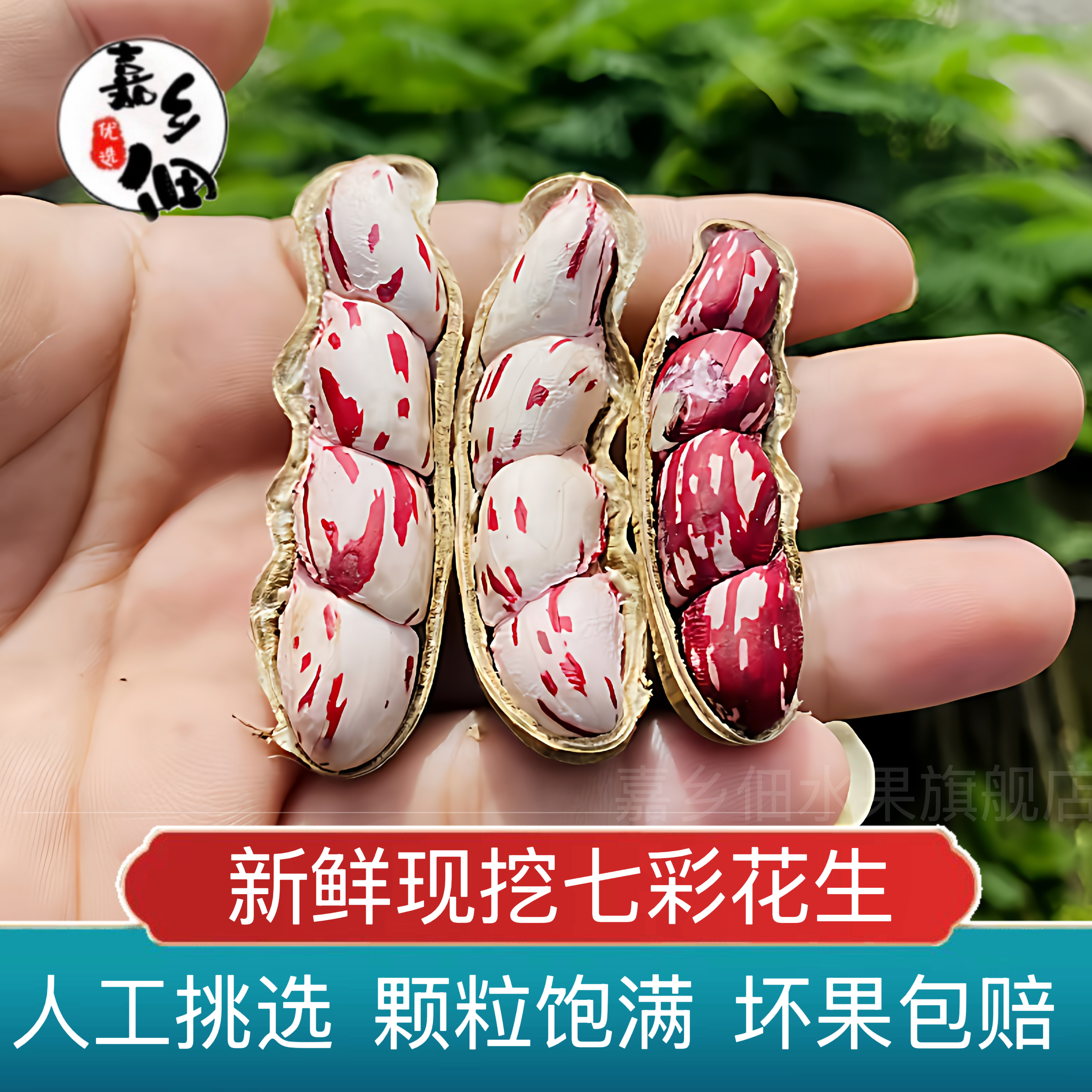 云南新鲜带泥和不带泥七彩湿花生,水产肉类/新鲜蔬果/熟食,新鲜花生,淘宝优惠券,粉丝福利购,淘宝优惠卷