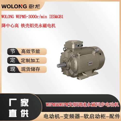 WOLONG WEPM5-3000r/min IE5&GB1  降中心高 铁壳铝壳永磁电机