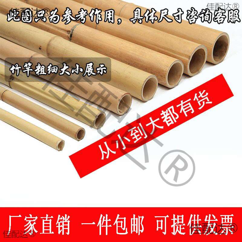 竹竿装饰竹竿楠竹竹杆吊顶隔断防腐竹竿室内粗细竹子民宿装修毛竹