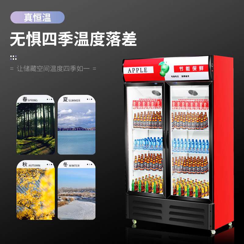 立式冷藏展示柜商用风直冷单门水果保鲜双门啤酒冰柜超市三门饮料