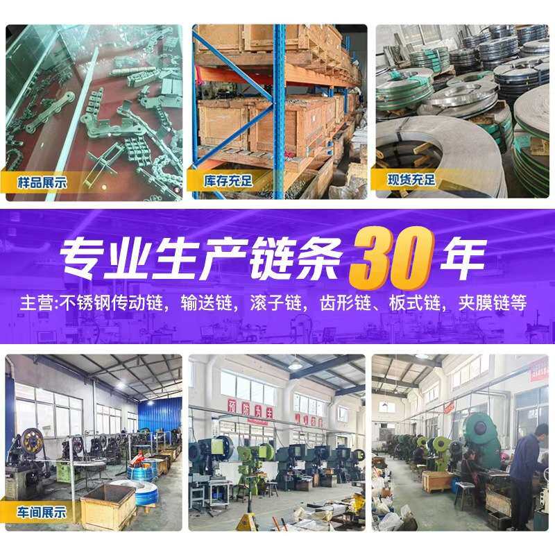 10B导轨夹膜链短节距滚子输送链 单排双排不锈钢传送链条板式链
