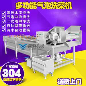 翔硕供应商用全自动黄桃清洗机 大型翻浪式高压气泡清洗流水线