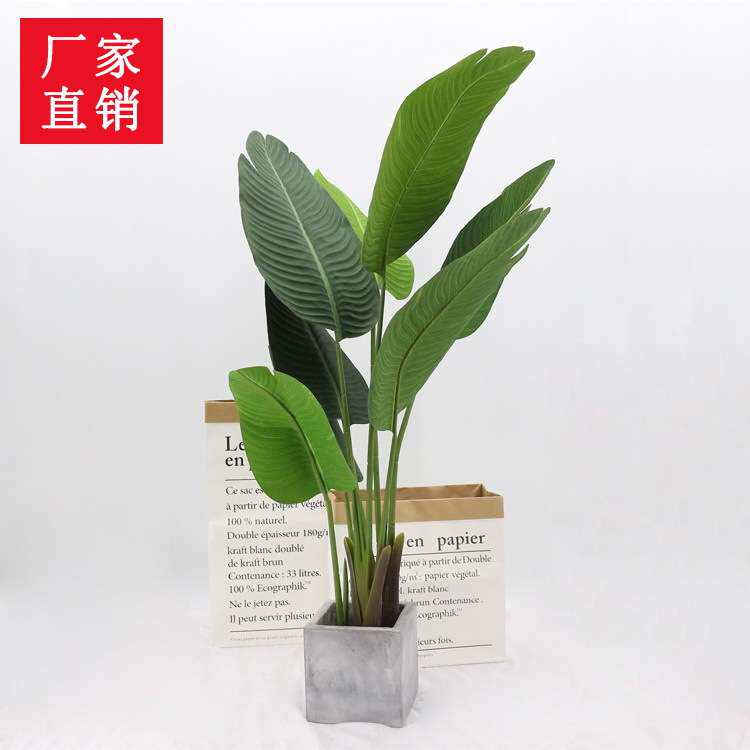 仿真盆栽植物旅人蕉欧式家居装饰树绿植叶子旅人蕉套装 美人蕉
