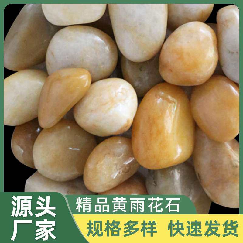 精品黄雨花石 鱼缸造景黄色精品鹅卵石 园林美化抛光鹅卵石