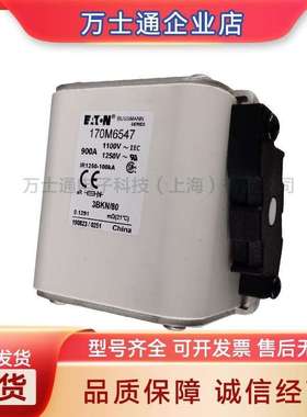 170M6558/6559/6560/6561/6562/6563/6564/6565-6570/6571熔断器