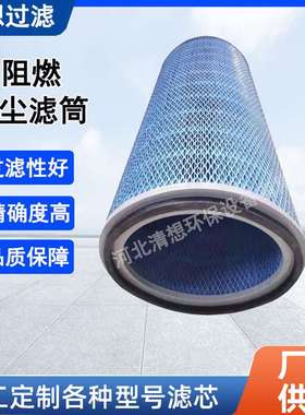 工业除尘滤芯阻燃滤筒P191920等离子切割抛丸粉尘过滤