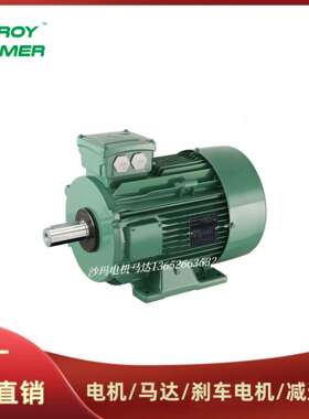法国LEROY-SOMER电机马达LS LSES系列63 71 80 90 100 112M~200L
