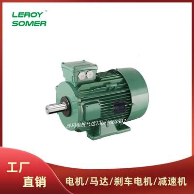 法国LEROY-SOMER电机马达LS LSES系列63 71 80 90 100 112M~200L