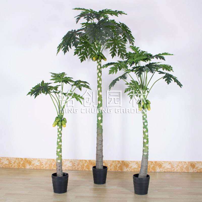 仿真植物万寿木绿植室内盆栽 造景装饰落地大型仿真果树木瓜树