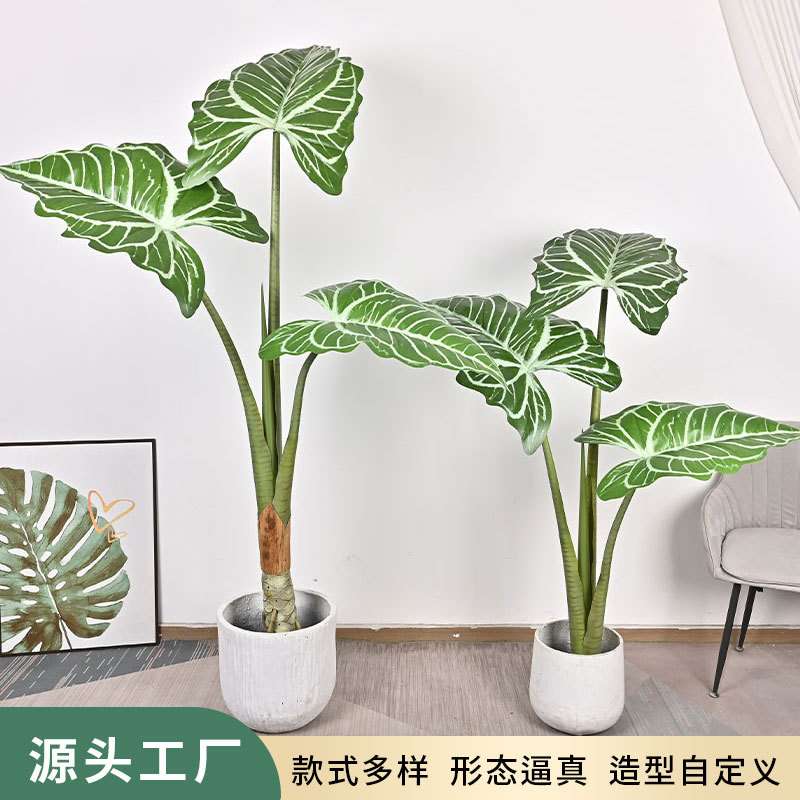 仿真绿植大叶帝王花烛卧室客厅橱窗大型落地盆栽装饰摆件假植物图片