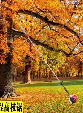 园林修剪工具四冲程高枝油锯 可加长充电式电动高枝锯 高空修枝锯